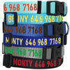 Picture of Blueberry Pet Essentials 22 Colors Personalized Dog Collar, Royal Blue, Medium, Adjustable Customized ID Collars for Medium Dogs Embroidered with Pet Name & Phone Number