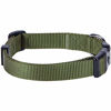 Picture of Blueberry Pet Essentials 21 Colors Classic Dog Collar, Military Green, Large, Neck 18"-26", Collars for Dogs