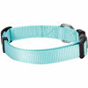 Picture of Blueberry Pet Essentials 21 Colors Classic Dog Collar, Mint Blue, Small, Neck 12"-16", Nylon Collars for Dogs