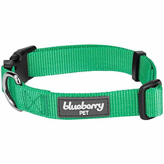  Blueberry Pet Essentials 21 Colors Classic Dog Collar