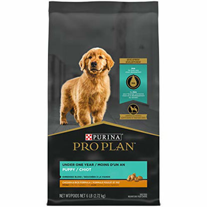 Picture of Purina Pro Plan With Probiotics, High Protein Dry Puppy Food, Shredded Blend Chicken & Rice Formula - 6 lb. Bag