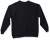 Picture of Hanes Men's Ecosmart Fleece Sweatshirt, Black, 3XL