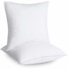 Picture of Utopia Bedding Throw Pillows Insert (Pack of 2, White) - 28 x 28 Inches Bed and Couch Pillows - Indoor Decorative Pillows