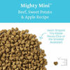 Picture of Solid Gold - Mighty Mini Beef - Small & Toy Breed Wet & Dry Dog Food - 11 lb Bag - Packaging May Vary