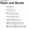 Picture of Qualihome Hardware Nail Assortment Kit, Includes Finish, Wire, Common, Brad and Picture Hanging Nails