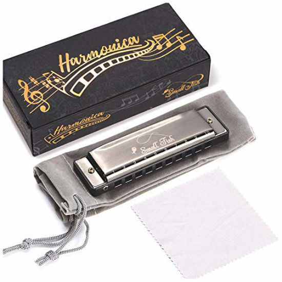 Harmonica 2024 for toddlers