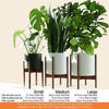 Picture of Fox & Fern Mid-Century Modern Plant Stand - EXCLUDING White Planter Pot (Family, Acacia Wood)