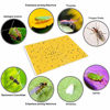 Picture of Gideal 20-Pack Dual-Sided Yellow Sticky Traps for Flying Plant Insect Such as Fungus Gnats, Whiteflies, Aphids, Leafminers,Thrips - (6x8 Inches, Included 20pcs Twist Ties)