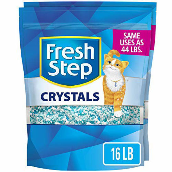 Exquisite cat outlet crystal litter