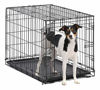 Picture of Dog Crate | MidWest ICrate 30 Inch Folding Metal Dog Crate w/ Divider Panel, Medium Dog, Black