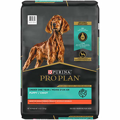 Picture of Purina Pro Plan Probiotic, Sensitive Stomach Dry Puppy Food, Sensitive Skin & Stomach Salmon & Rice Formula - 16 lb. Bag