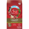 Picture of Purina ONE Natural Dry Dog Food, SmartBlend Lamb & Rice Formula - 31.1 lb. Bag