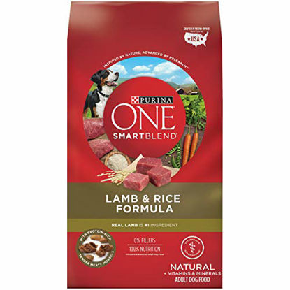 Picture of Purina ONE Natural Dry Dog Food, SmartBlend Lamb & Rice Formula - 31.1 lb. Bag