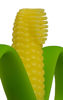 Picture of Baby Banana - Corn Cob Toothbrush, Training Teether Tooth Brush for Infant, Baby, and Toddler