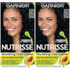 Picture of Garnier Hair Color Nutrisse Nourishing Creme, 11 Blackest Black, 2 Count