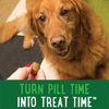 Picture of GREENIES Pill Pockets Natural Dog Treats, Capsule Size, Peanut Butter Flavor