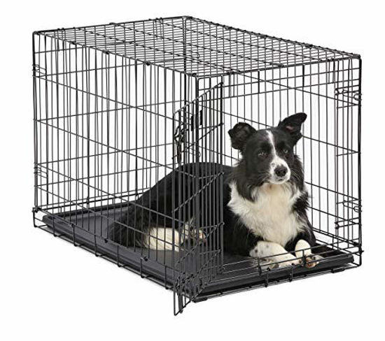 36 inch dog shop crate with divider