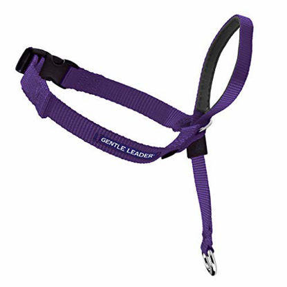 Picture of PetSafe Gentle Leader Head Collar with Training DVD, MEDIUM 25-60 LBS., DEEP PURPLE