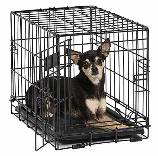 Xxs best sale dog crate