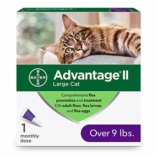 Picture of Advantage II Flea Prevention and Treatment for Large Cats, Over 9 Pounds