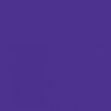 Picture of Rust-Oleum 249113-6 PK Painter's Touch 2X Ultra Cover, 6 Pack, Gloss Grape