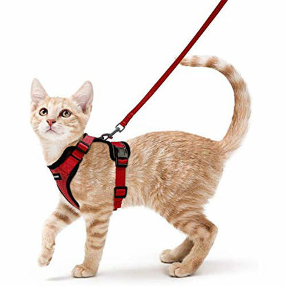 Picture of rabbitgoo Cat Harness and Leash for Walking, Escape Proof Soft Adjustable Vest Harnesses for Cats, Easy Control Breathable Reflective Strips Jacket, Red, S (Chest: 18" - 20")