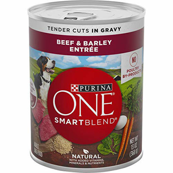 Picture of Purina ONE Natural, High Protein Gravy Wet Dog Food, SmartBlend Tender Cuts in Gravy Beef & Barley - (12) 13 oz. Cans