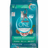 Picture of Purina ONE Natural Dry Cat Food, Sensitive Skin & Stomach Formula - 16 lb. Bag