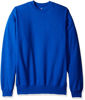 Picture of Hanes Men's Ecosmart Fleece Sweatshirt, Deep Royal, 3XL