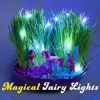 Picture of Little Growers Fairy Garden Craft Kit with Enchanted Unicorn and Light-Up Fairy Lights - Paint, Plant and Grow Your Very Own Fairy Garden Arts and Crafts Kit - for Kids All Ages Both Girls and Boys