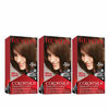 Picture of Revlon Colorsilk Beautiful Color Permanent Hair Color with 3D Gel Technology & Keratin, 100% Gray Coverage Hair Dye, 47 Medium Rich Brown, 4.4 oz (Pack of 3)