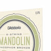 Picture of D'Addario EJ75 Phosphor Bronze Mandolin Strings, Medium/Heavy, 11.5-41