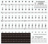 Picture of Piano Keyboard Stickers for 88/61/ 54/49 Key, Black Transparent Removable for kids Beginners (Black)