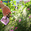 Picture of OFFIDIX Glass Watering Spray Bottle,Plant Mister Watering can Indoor with Bronze Plastic Top Pump, Glass Small Watering Can for Garden, Plants, Cleaning (Purple)