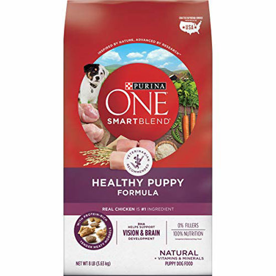 GetUSCart Purina ONE Natural Dry Puppy Food SmartBlend Healthy