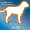 Picture of Capstar Fast-Acting Oral Flea Treatment for Large Dogs, 6 Doses, 57 mg (26-125 lbs)