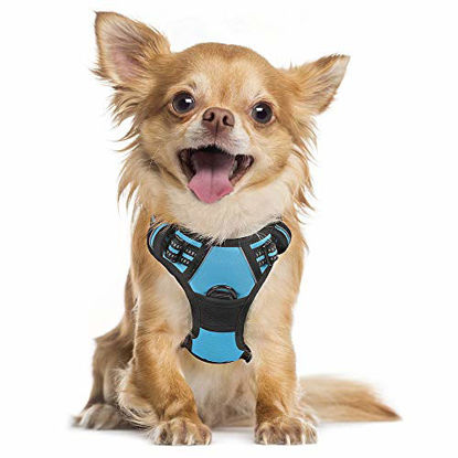 Picture of rabbitgoo Dog Harness, No-Pull Pet Harness with 2 Leash Clips, Adjustable Soft Padded Dog Vest, Reflective No-Choke Pet Oxford Vest with Easy Control Handle for Small Dog, Blue (S, Chest 15.7"-27.6")