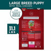 Picture of Purina ONE Natural Large Breed Dry Puppy Food, SmartBlend Formula - 31.1 lb. Bag