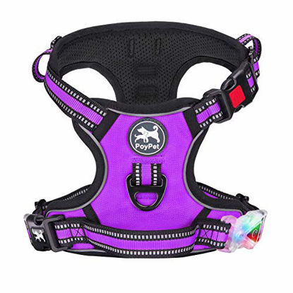 Picture of PoyPet LED Flashing Light No Pull Dog Harness Front Reflective Pet Vest for Dogs with Easy Control Handle 3 Buckles Perfect for Daily Training,Walking Running (Purple,M)