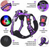 Picture of PoyPet LED Flashing Light No Pull Dog Harness Front Reflective Pet Vest for Dogs with Easy Control Handle 3 Buckles Perfect for Daily Training,Walking Running (Purple,M)