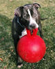 Picture of Jolly Pets Tug-n-Toss Heavy Duty Dog Toy Ball with Handle, 10 Inches/X-Large, Red