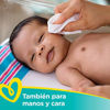 Picture of Pampers Sensitive, Water Based Baby Wipes, 392 Total Wipes