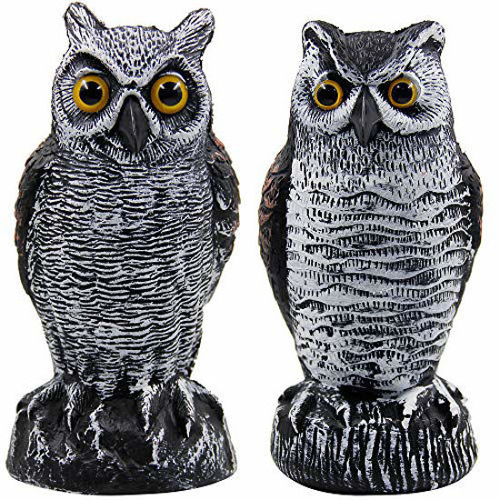 Picture of Hausse 2 Pack Fake Horned Owl Bird Scarecrow Decoy, Plastic Owl Bird Deterrents, Nature Enemy Pest Repellent for Outdoor Garden Yard