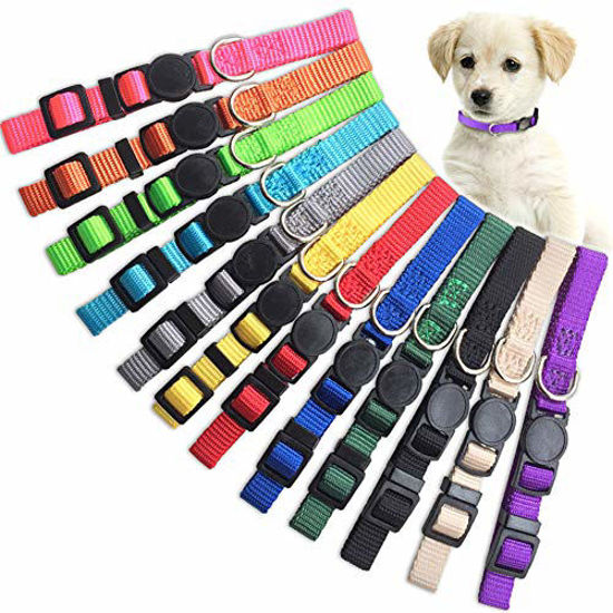 Collars for outlet puppy litters