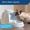 Picture of PetSafe Drinkwell Platinum Dog and Cat Water Fountain, Automatic Drinking Fountain for Pets, 168 Oz.