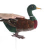 Picture of Factory Direct Craft Feathered Artificial Mallard Duck for Indoor Decor