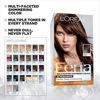 Picture of L'Oreal Paris Feria Multi-Faceted Shimmering Permanent Hair Color, Smokey Silver, Pack of 1, Hair Dye