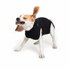 Picture of Suitical Recovery Suit Dog, Medium, Black