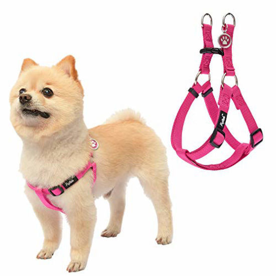 Dog tag for clearance harness