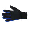 Picture of DIVE & SAIL Wetsuits 1.5 mm Premium Neoprene Gloves Scuba Diving Five Finger Glove, Blue, Medium